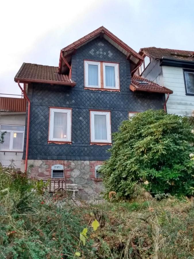 Vakantiehuis Julia Villa Bad Sachsa Bagian luar foto